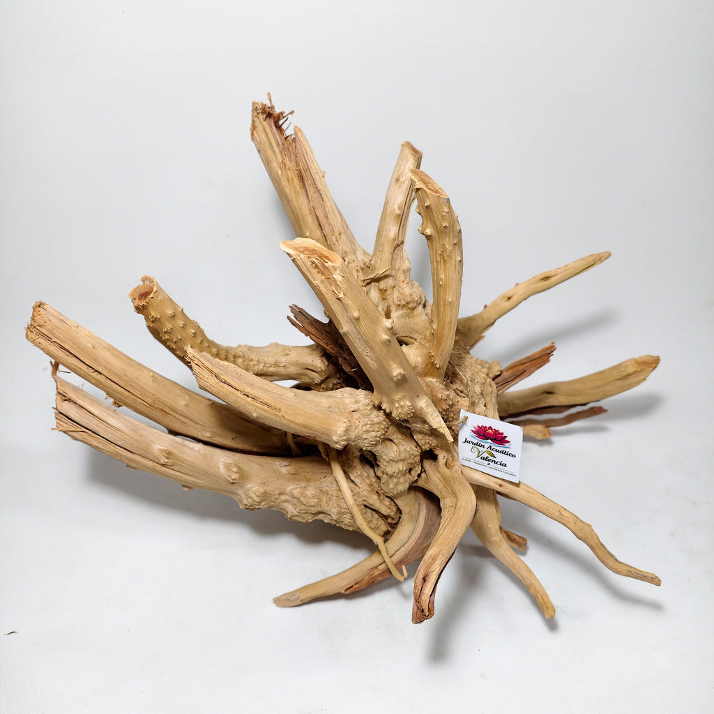 Pack Aquascaping Spider Wood XL con Anubias Naturales