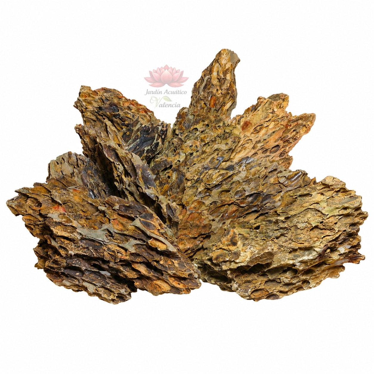 Roca Dragon Premium | Piedra Natural para Aquascaping