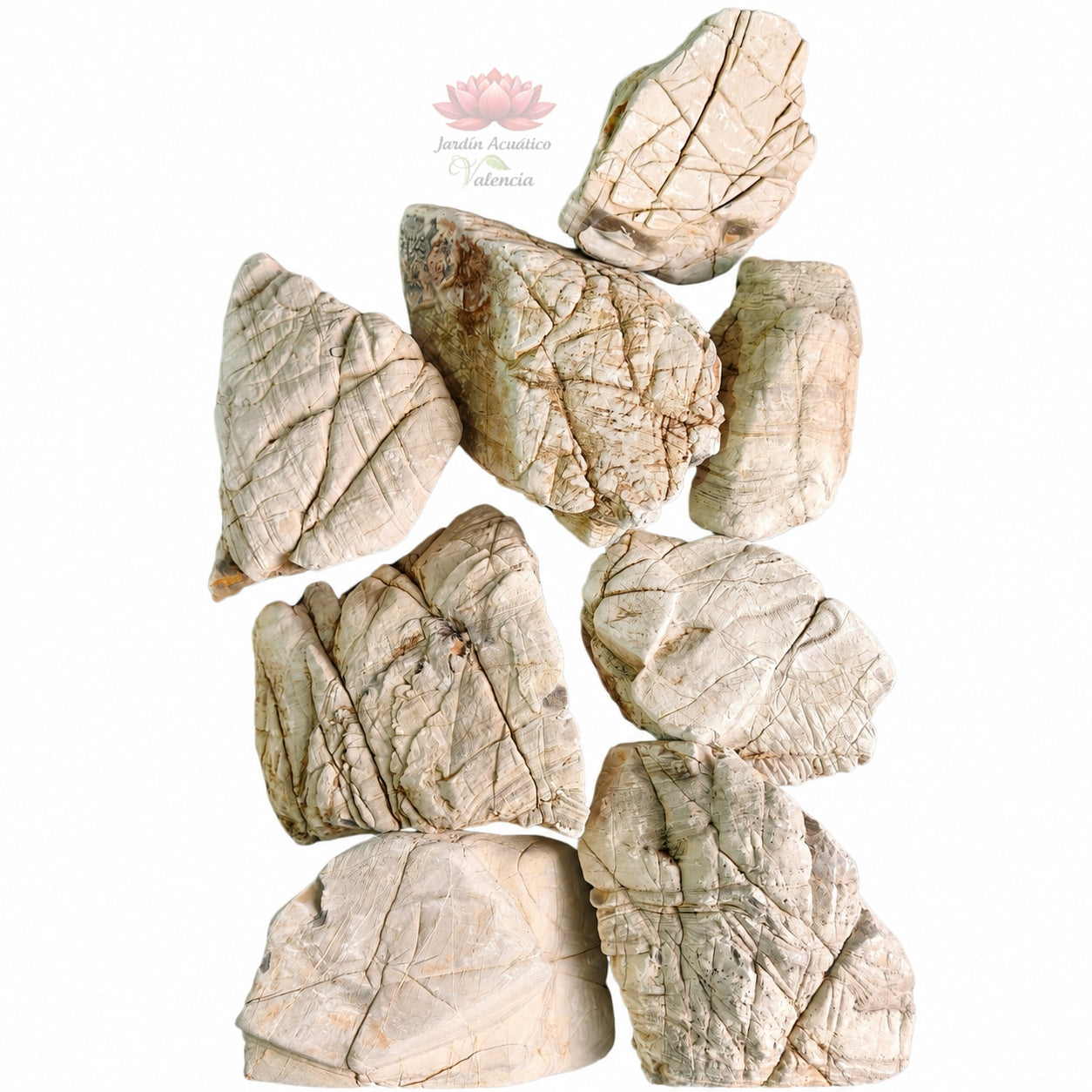 Elephant Skin Stone | Roca Natural Premium para Aquascaping