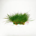 Eleocharis Parvula Alfombra 15x10 cm | Planta Tapizante para Acuario