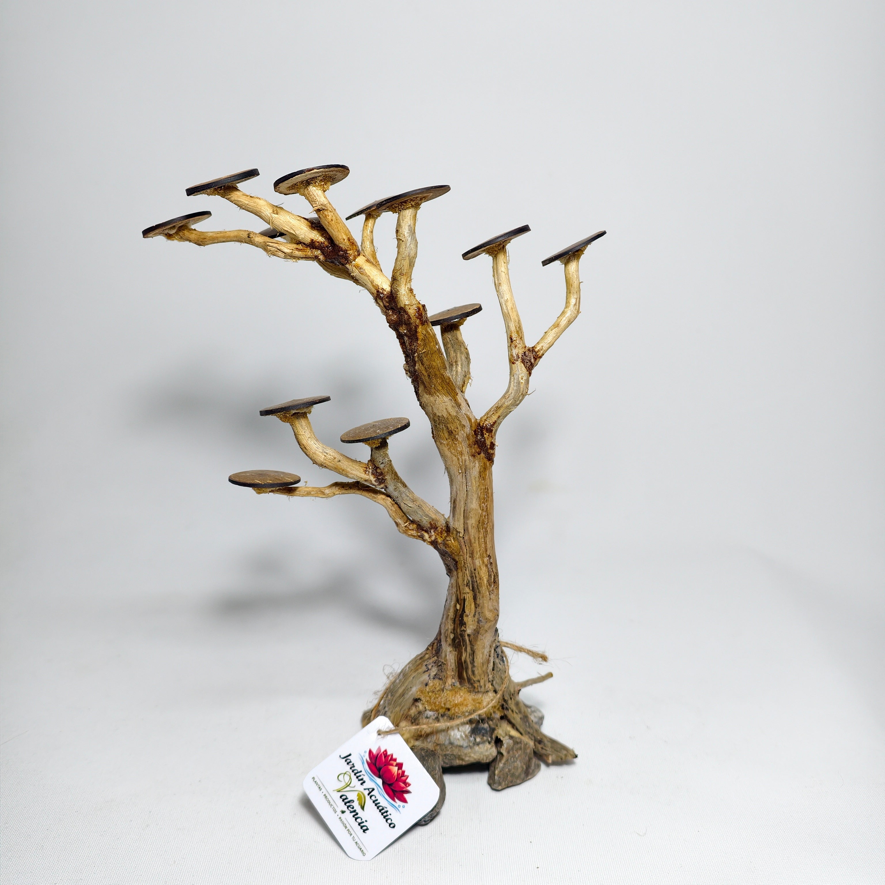 Bonsái XS para Acuario | Árbol Decorativo para Aquascaping