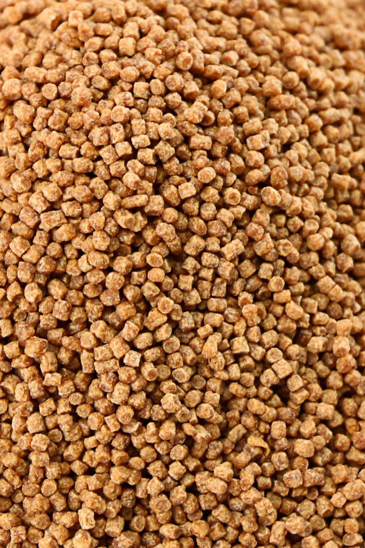 ATISON'S Betta Food 15g | Alimento Premium para Peces Betta
