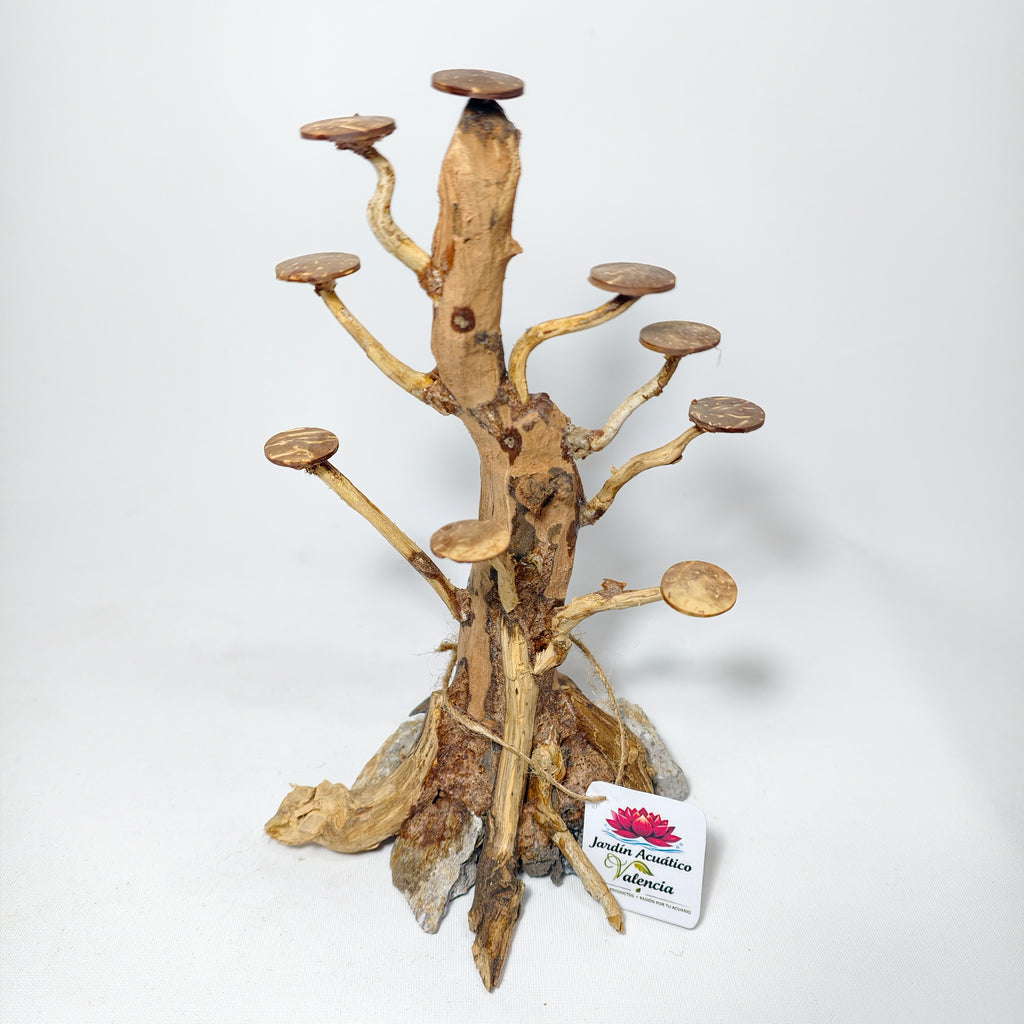 Bonsái XS para Acuario | Árbol Decorativo para Aquascaping