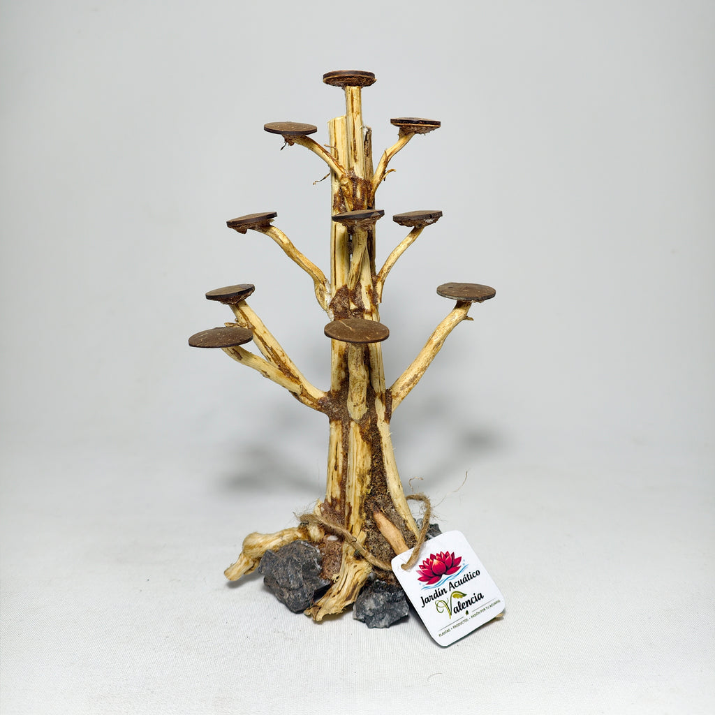 Bonsái Rasamala XS | Madera Natural para Aquascaping