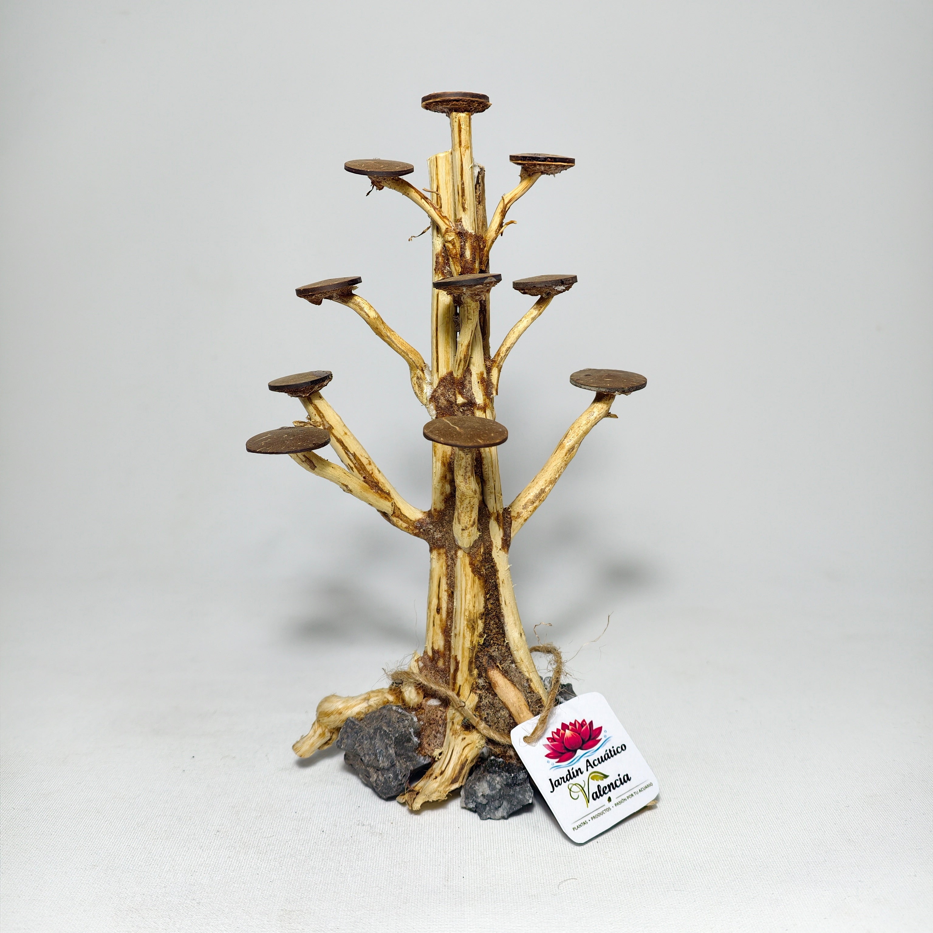 Bonsái Rasamala XS | Madera Natural para Aquascaping