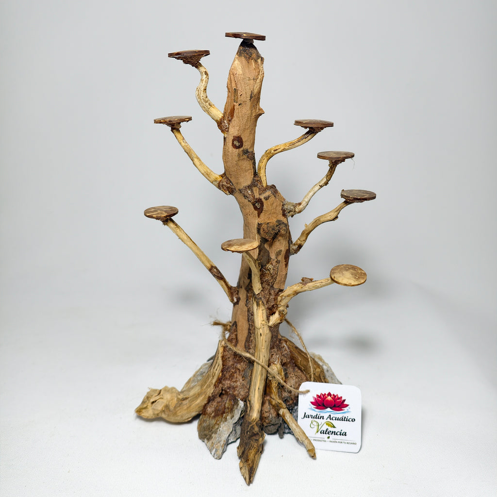Bonsái XS para Acuario | Árbol Decorativo para Aquascaping