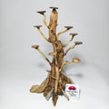Bonsái XS para Acuario | Árbol Decorativo para Aquascaping