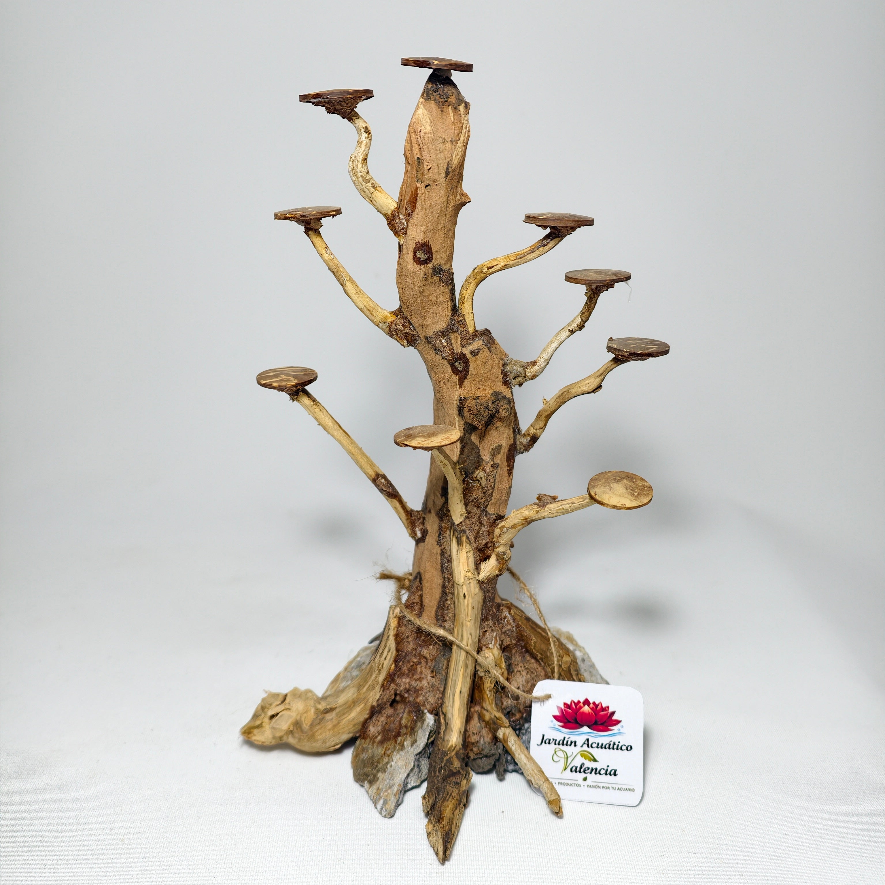 Bonsái XS para Acuario | Árbol Decorativo para Aquascaping