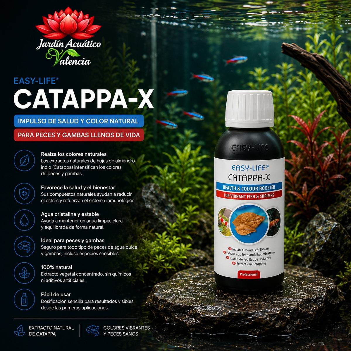 Easy-Life Catappa-X 100 ml | Concentrado de hojas de Catappa