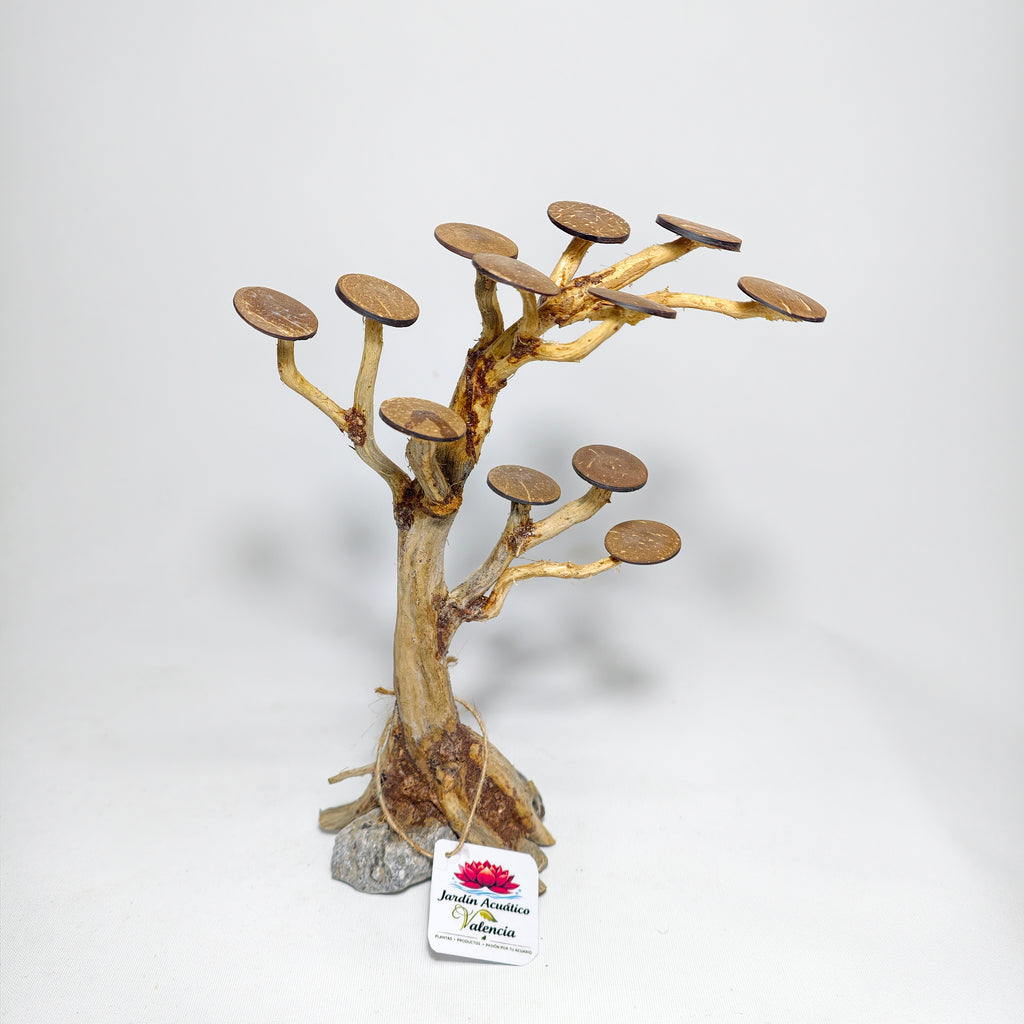 Bonsái XS para Acuario | Árbol Decorativo para Aquascaping