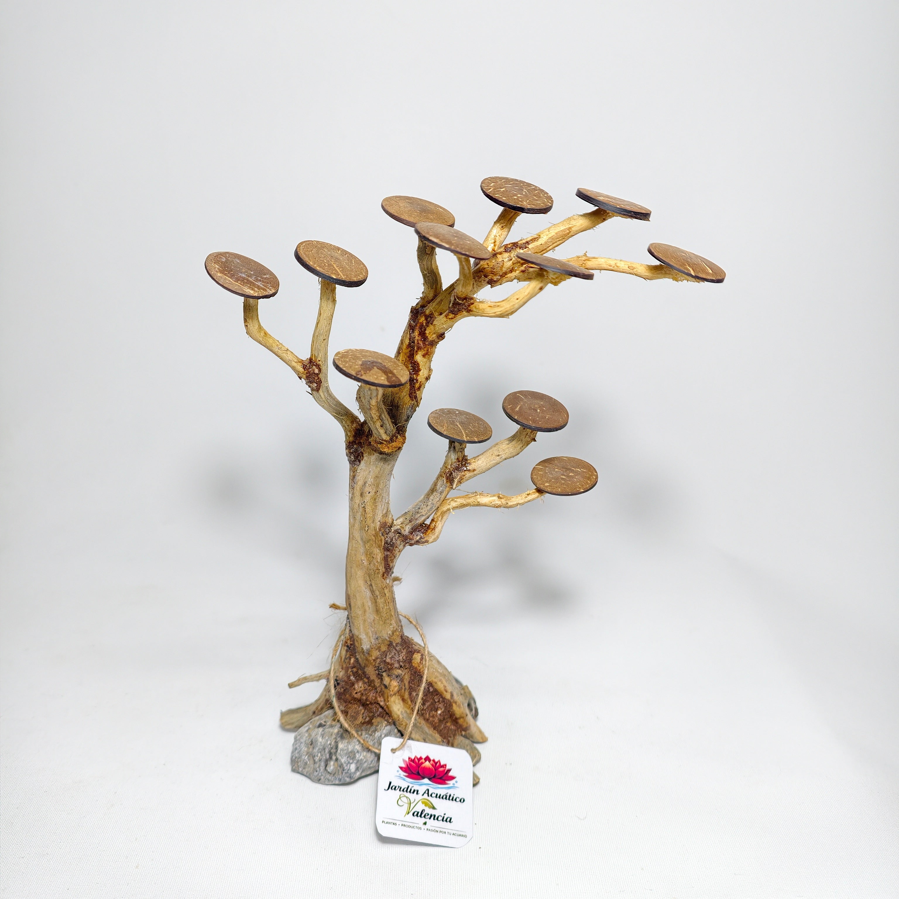 Bonsái XS para Acuario | Árbol Decorativo para Aquascaping