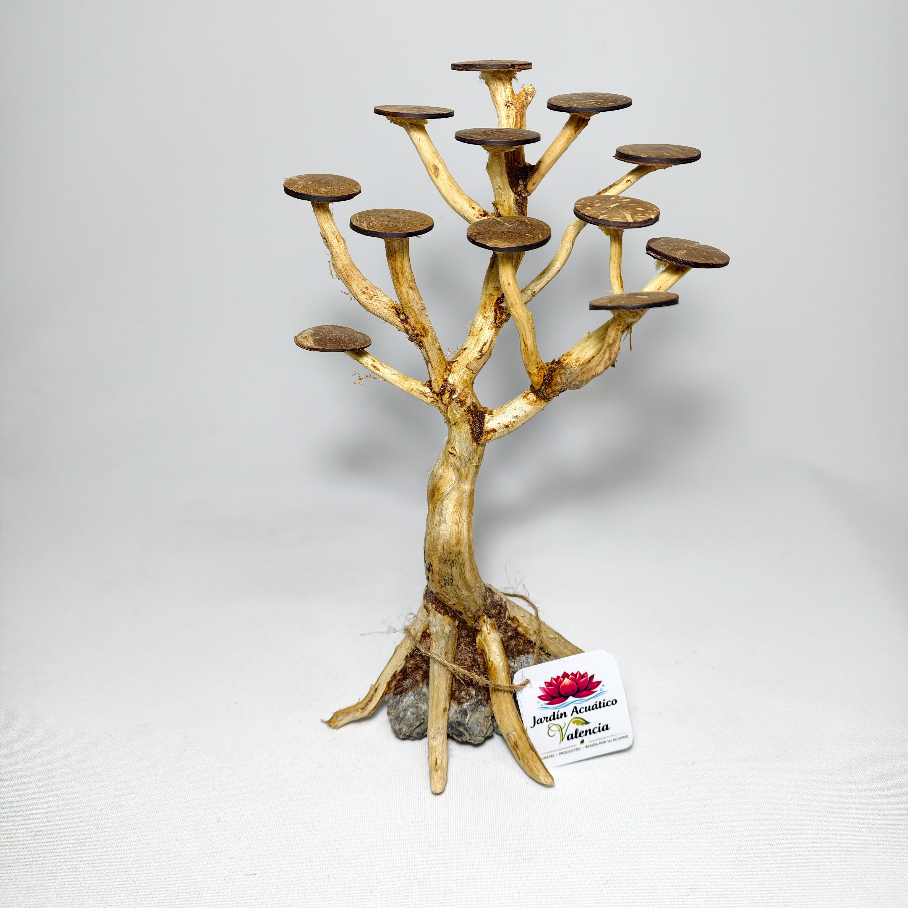 Bonsái XS para Acuario | Árbol Decorativo para Aquascaping