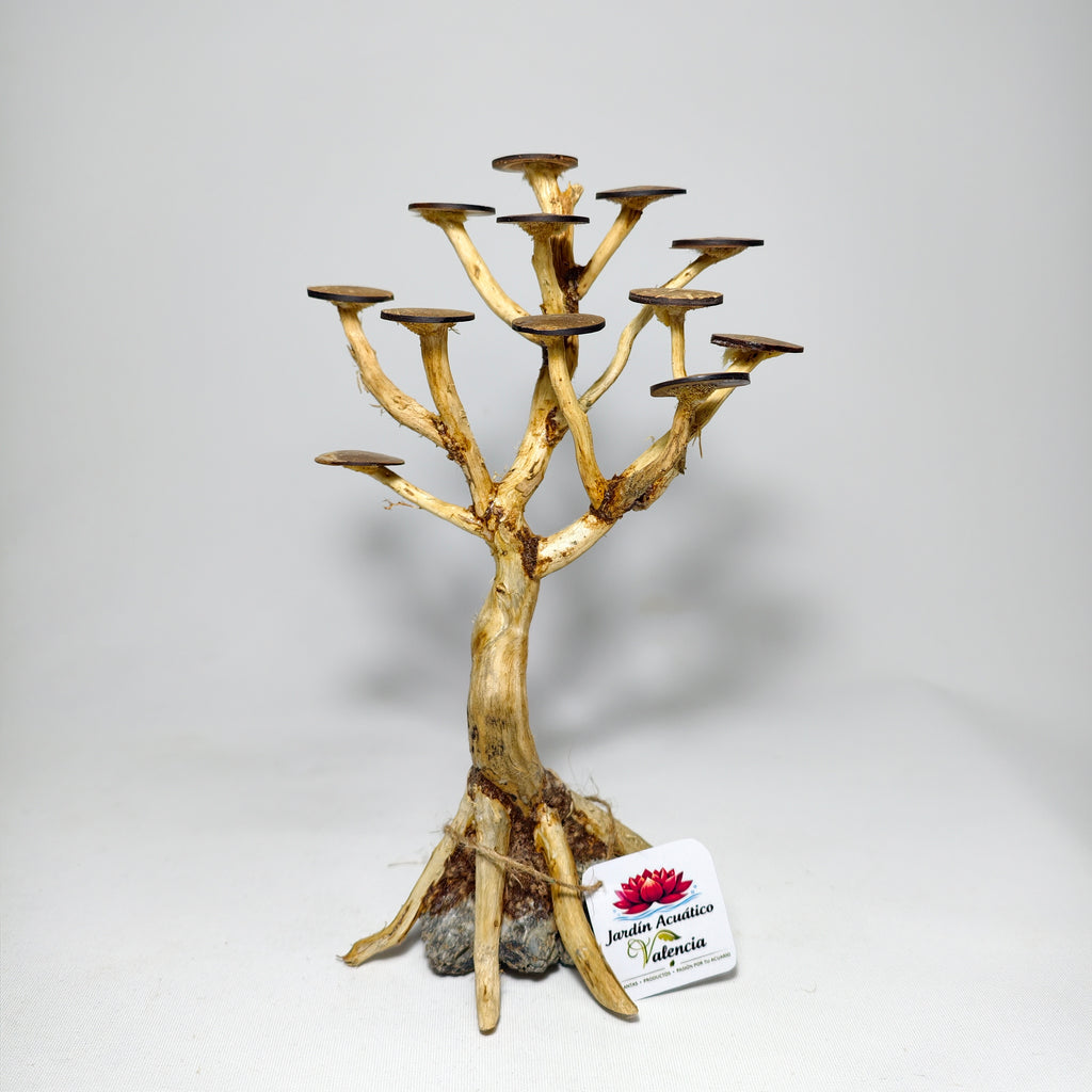 Bonsái XS para Acuario | Árbol Decorativo para Aquascaping