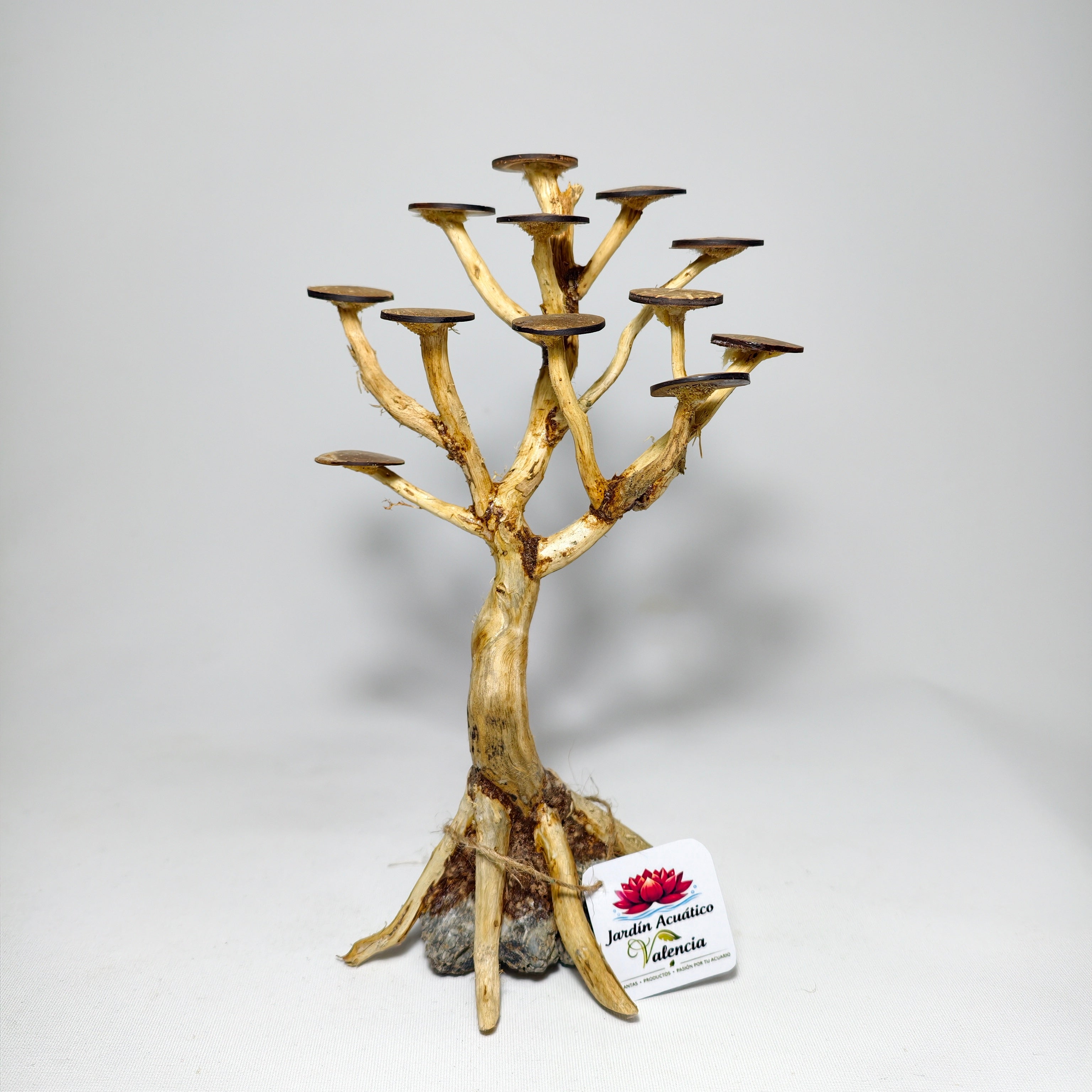 Bonsái XS para Acuario | Árbol Decorativo para Aquascaping